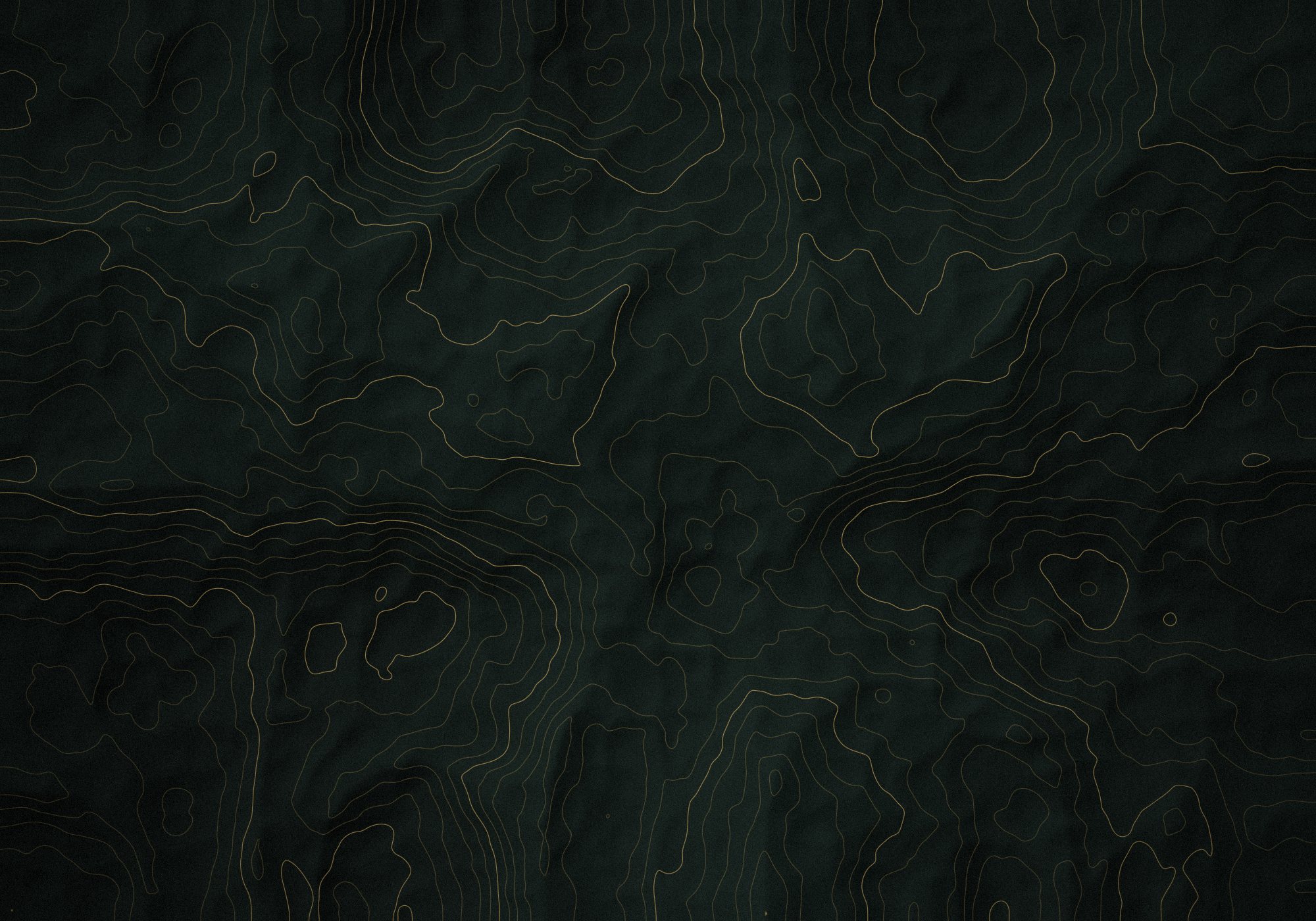 Topographic relief map with contour lines